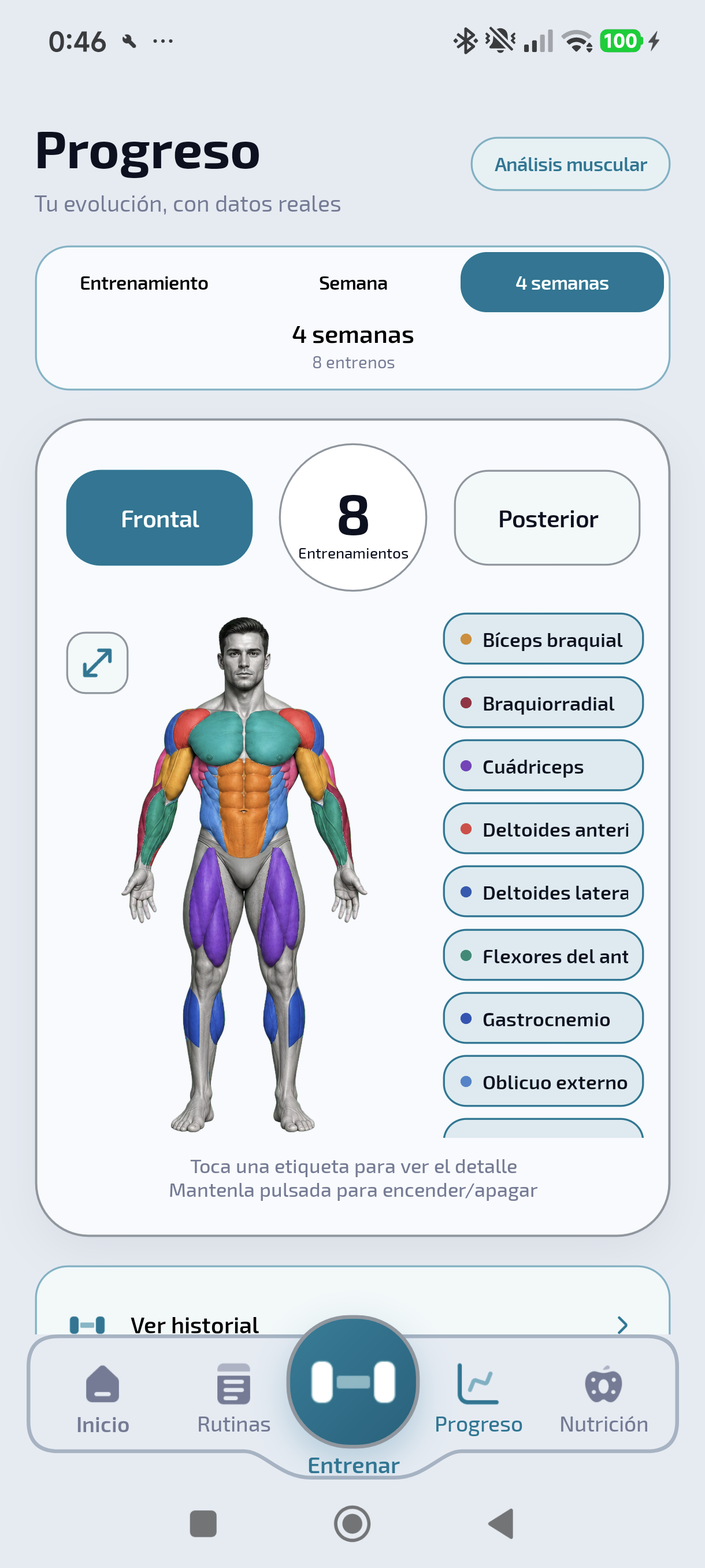 Mapa muscular