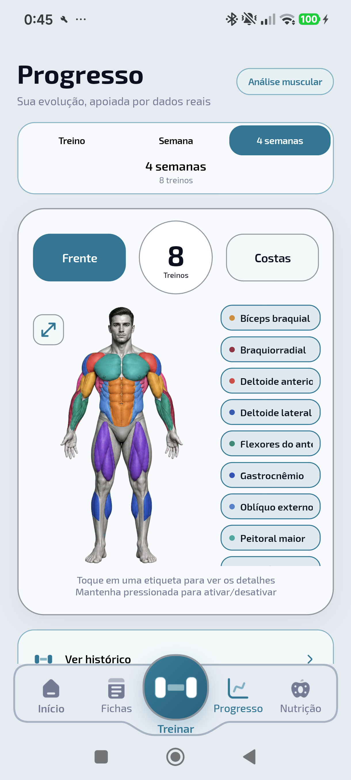 Mapa muscular